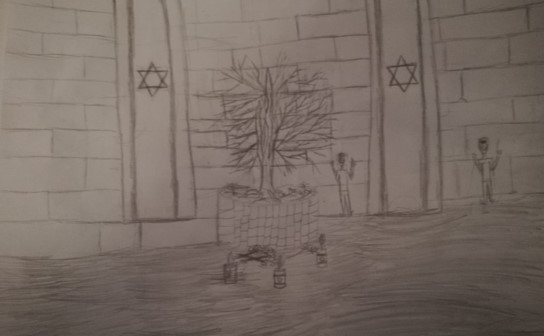 תמונה5